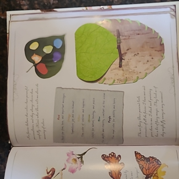 Disney "The Hidden World of Fairies" book - Picture 14 of 16